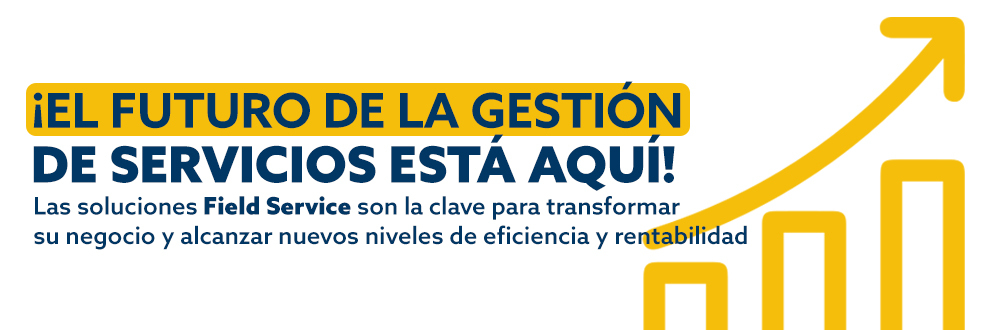 Soluciones Field Service